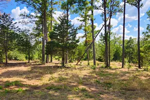 Tbd Modock Dr, Bastrop, TX 78602 - Photo 1