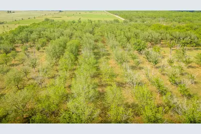 452 Ponderosa Road, Bastrop, TX 78602 - Photo 6