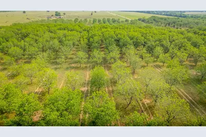 452 Ponderosa Road, Bastrop, TX 78602 - Photo 4