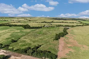 3007 County Rd 303, Jarrell, TX 76537 - Photo 26