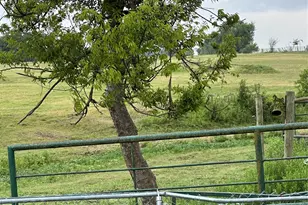 3007 County Rd 303, Jarrell, TX 76537 - Photo 30