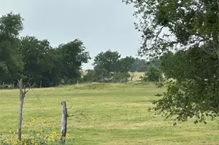 3007 County Rd 303, Jarrell, TX 76537 - Photo 36