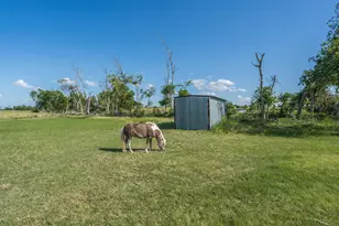 3007 County Rd 303, Jarrell, TX 76537 - Photo 18