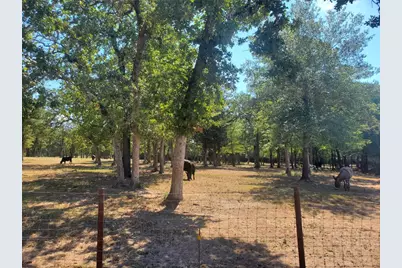 4319 County Road 455, Thorndale, TX 76577 - Photo 12