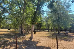 4319 Co Rd 455, Thorndale, TX 76577 - Photo 12