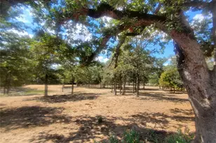 4319 Co Rd 455, Thorndale, TX 76577 - Photo 16