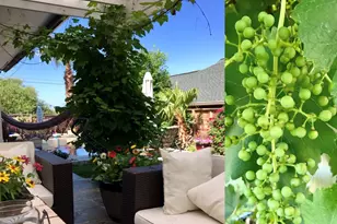 4200 Vista Corta Dr, Lago Vista, TX 78645 - Photo 30