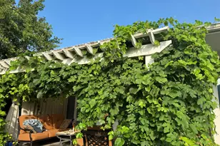 4200 Vista Corta Dr, Lago Vista, TX 78645 - Photo 28