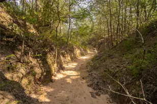 6562 Cross Rd, Seguin, TX 78155 - Photo 4