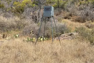 2939 Fm-2342 Rd, Burnet, TX 78611 - Photo 14