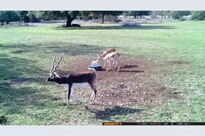 153 High Point Drive, Kempner, TX 76539 - Photo 4