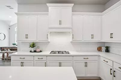 229 Majestic Sage Trail, San Marcos, TX 78666 - Photo 14