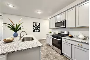 251 Arroyo Sweetwood Cir, Kyle, TX 78640 - Photo 8