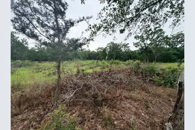 000 McDonald Lane W, Cedar Creek, TX 78612 - Photo 4