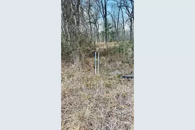 208 Sendero Boulevard, Cedar Creek, TX 78612 - Photo 2