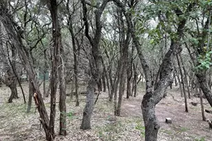 23081 Nameless Rd, Leander, TX 78641 - Photo 10