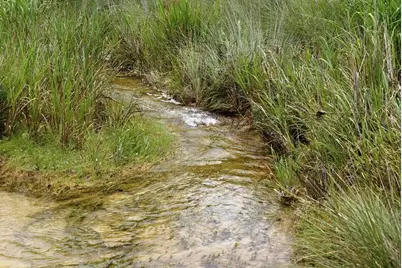 141 Hill Cove, Dripping Springs, TX 78620 - Photo 14