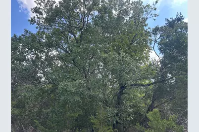 74 Deer Ridge Road, Wimberley, TX 78676 - Photo 4
