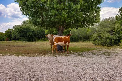 3074 County Road 207, Liberty Hill, TX 78642 - Photo 4