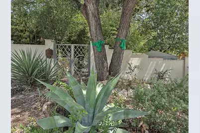 3800 Petes Path, Austin, TX 78731 - Photo 30