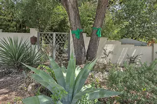 3800 Petes Path, Austin, TX 78731 - Photo 30