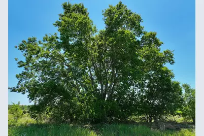 Lot 2 Cr 142 Road, Cameron, TX 76520 - Photo 4