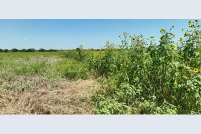 Lot 2 Cr 142 Road, Cameron, TX 76520 - Photo 8
