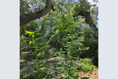 1111 W Oltorf Street, Austin, TX 78704 - Photo 34