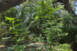 1111 W Oltorf St, Austin, TX 78704 - Photo 34