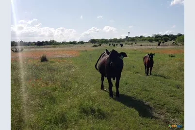 Lot 5 Cr 1255 Pitt Creek Ranch, Lampasas, TX 76550 - Photo 4