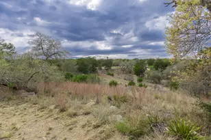 1925 Cripple Creek Stage Rd, Dripping Springs, TX 78620 - Photo 34