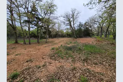 160 Arbor Hill Way, Cedar Creek, TX 78612 - Photo 4