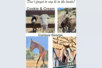 1051 Trailhead Circle, Dripping Springs, TX 78620 - Photo 2