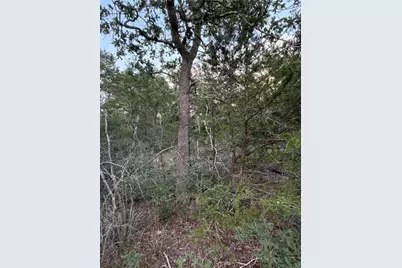 Lot 4 Spruce Street, Paige, TX 78659 - Photo 4