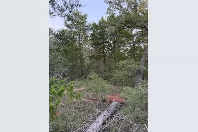 Lot 4 Spruce Street, Paige, TX 78659 - Photo 6