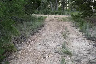 Lot 4 Spruce St, Paige, TX 78659 - Photo 1