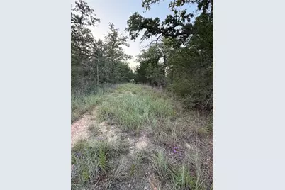 Lot 4 Spruce Street, Paige, TX 78659 - Photo 6