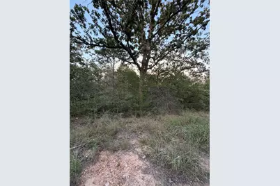 Lot 4 Spruce Street, Paige, TX 78659 - Photo 2