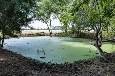 1350 Cattlemens Row, Lockhart, TX 78644 - Photo 6