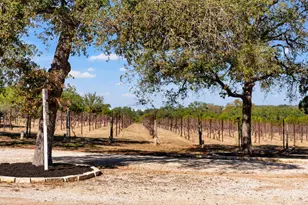 25711 Hamilton Pool Rd, Round Mountain, TX 78663 - Photo 18