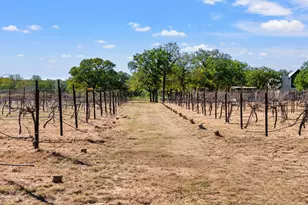 25711 Hamilton Pool Rd, Round Mountain, TX 78663 - Photo 24