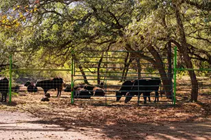 25711 Hamilton Pool Rd, Round Mountain, TX 78663 - Photo 2