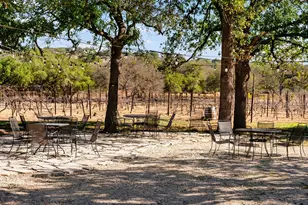 25711 Hamilton Pool Rd, Round Mountain, TX 78663 - Photo 20