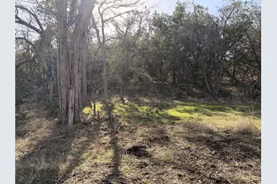 244 Buckskin Pass, Driftwood, TX 78619 - Photo 12