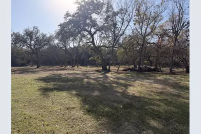 244 Buckskin Pass, Driftwood, TX 78619 - Photo 12