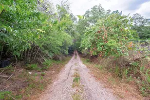143 Old Piney Trail, Paige, TX 78659 - Photo 22