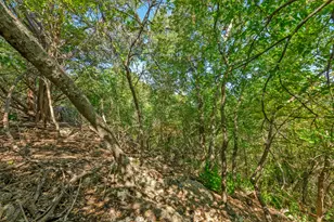12716 Pauls Valley Rd, Austin, TX 78737 - Photo 12