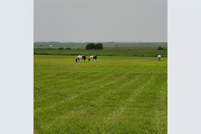 15620 Harry Lind Road, Elgin, TX 78621 - Photo 8