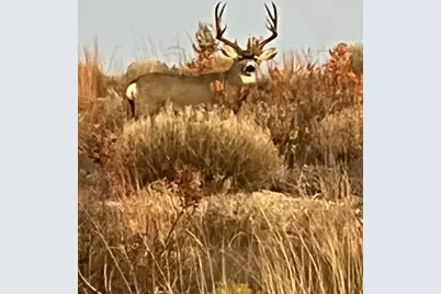 906 Cr 235, Aspermont, TX 79502 - Photo 10