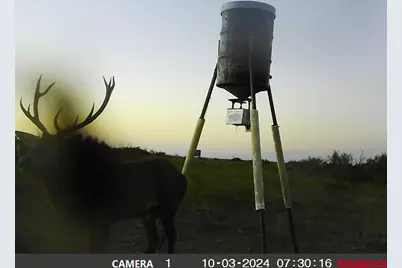 906 Cr 235, Aspermont, TX 79502 - Photo 38